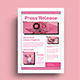 Pink White Neo Brutalism Music Album Press Release Information Flyer