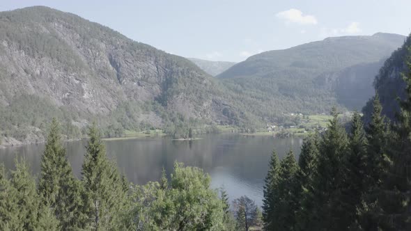 Descending down to reveal abandoned old house deep in the woods alt