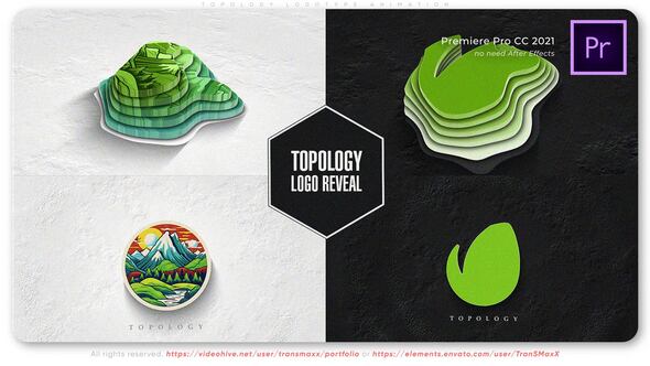 Topology Logotype Animation Premiere Pro template preview