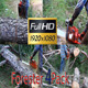 Forester 4 Pack Full HD - VideoHive Item for Sale