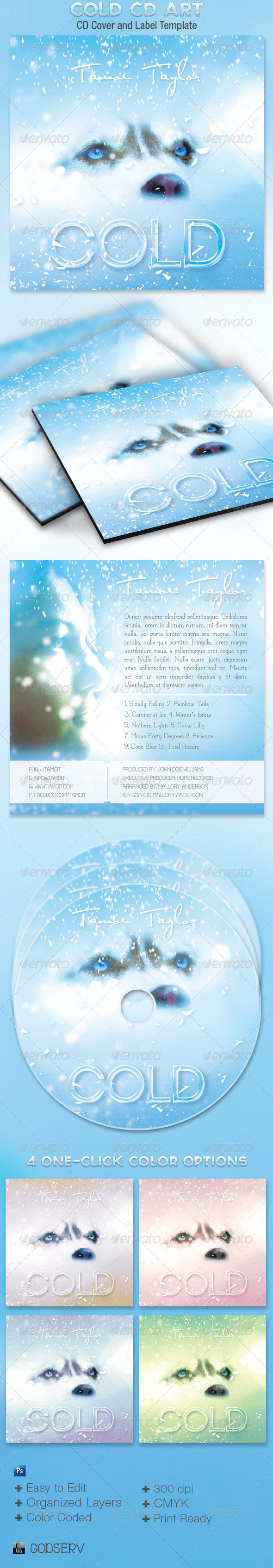 Cold CD Artwork Template - CD & DVD Artwork Print Templates