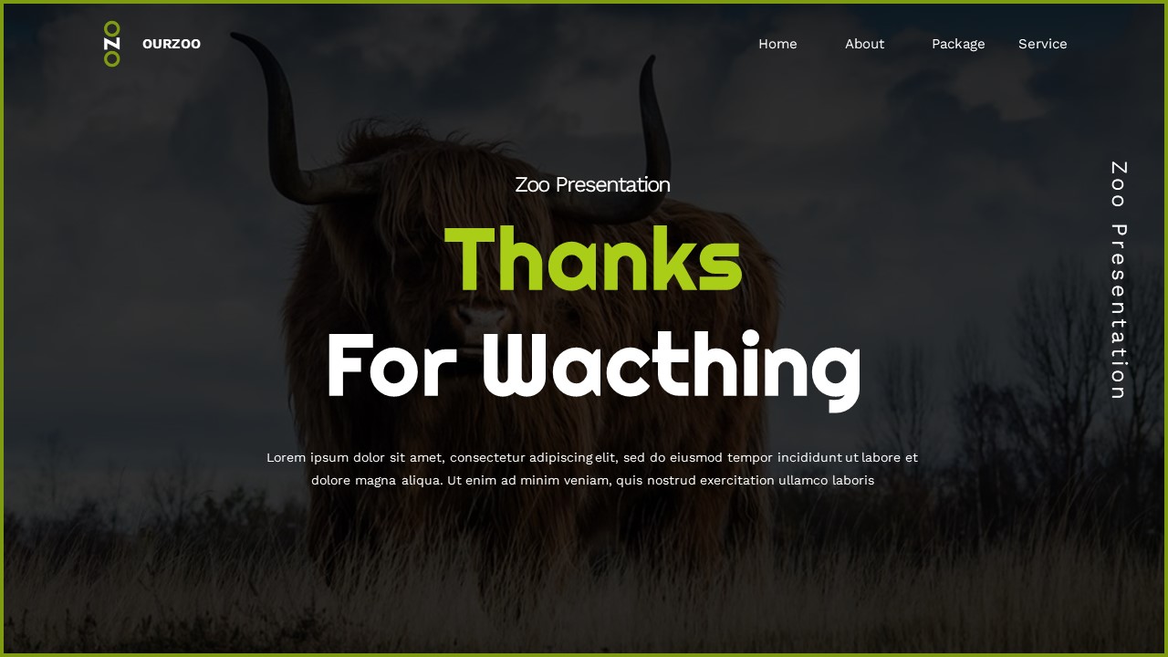 Ourzoo - Zoo Google Slide Templates, Presentation Templates | GraphicRiver