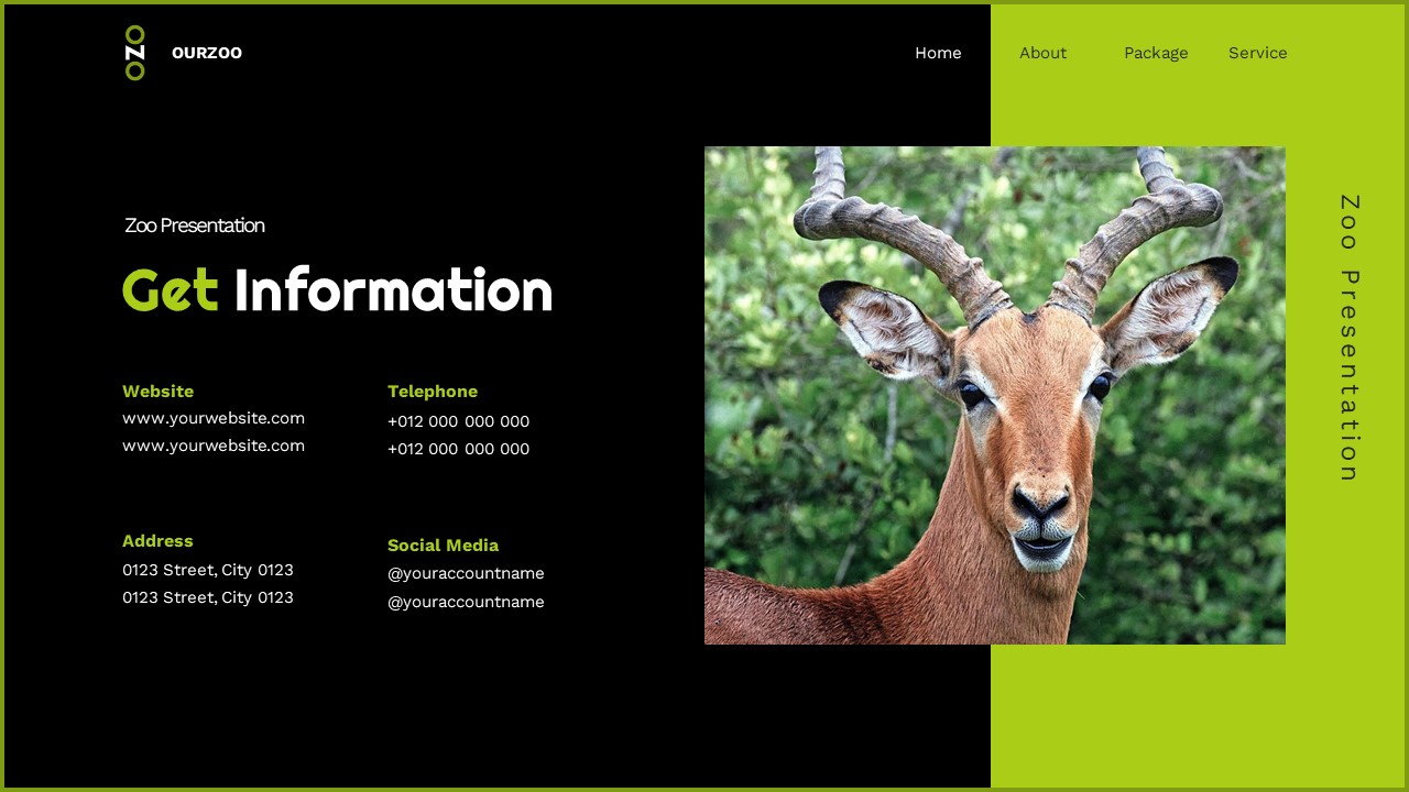 Ourzoo - Zoo Keynote Templates, Presentation Templates | GraphicRiver