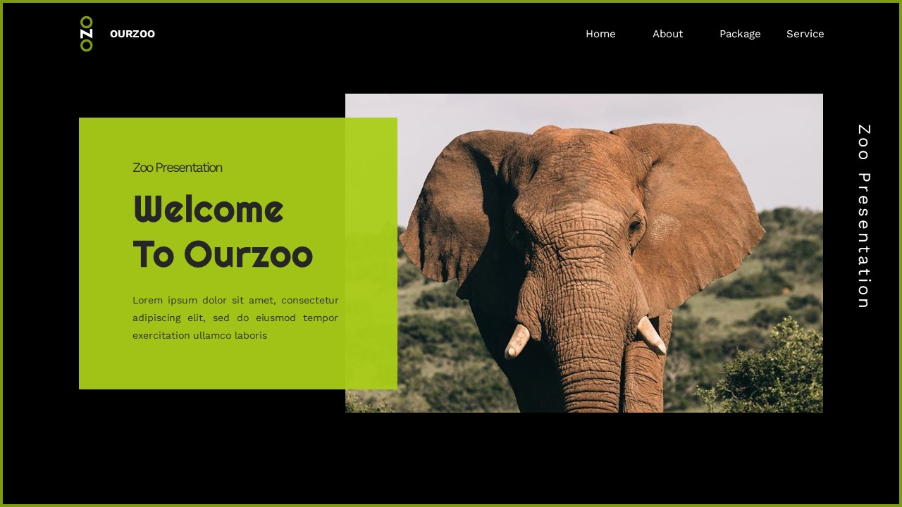 Ourzoo - Zoo Keynote Templates, Presentation Templates | GraphicRiver