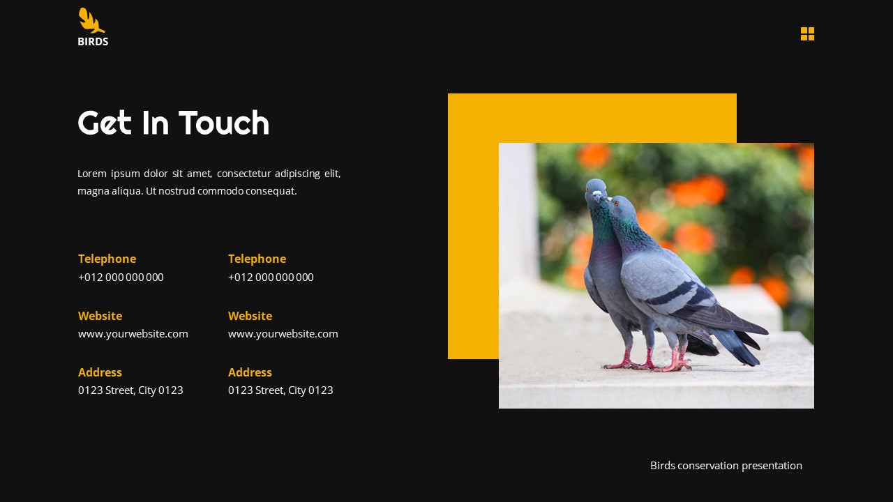 Birds - Birds Conservation Powerpoint Templates, Presentation Templates