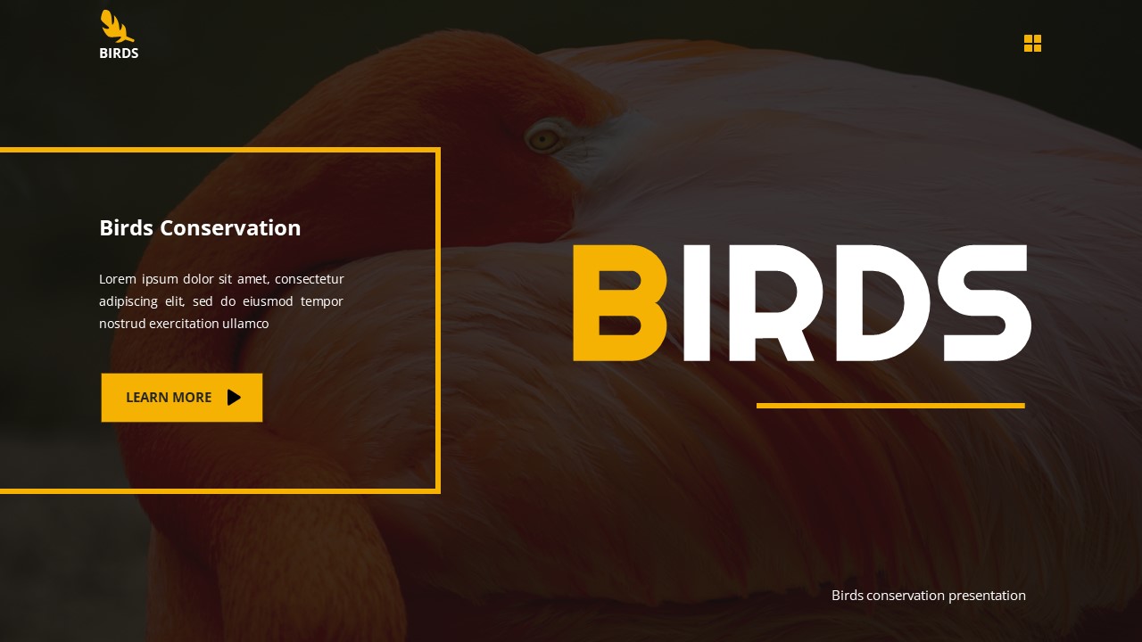 Birds - Birds Conservation Google Slide Templates, Presentation Templates