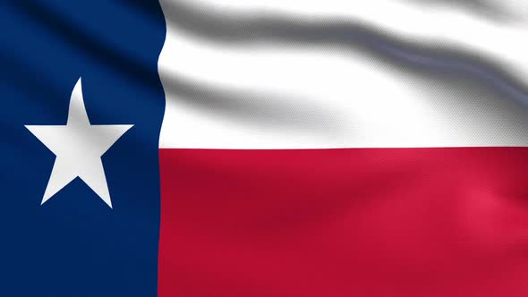 Texas Flag alt