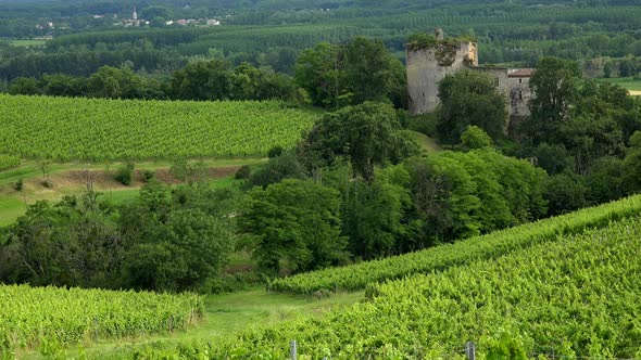 Vineyard and old castle - summer - Landscape - Bordeaux vineyards Langoiran
