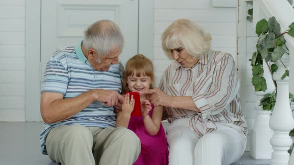 Senior Couple Sitting with Granddaughter and Using Mobile Phone in Porch at Home. Online Shopping alt