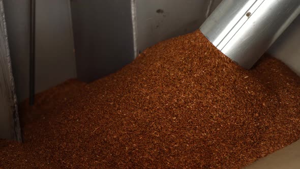 Sorting and cleaning of flax grain from the conveyor alt
