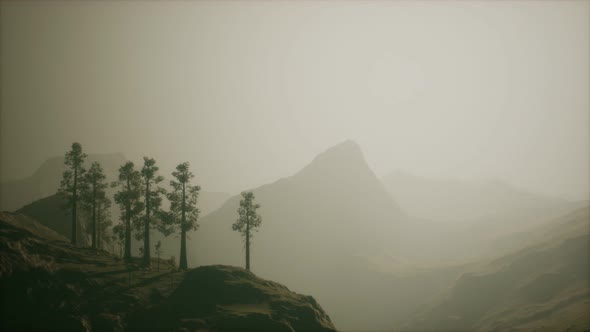 Misty Forest on the Mountain Slope alt