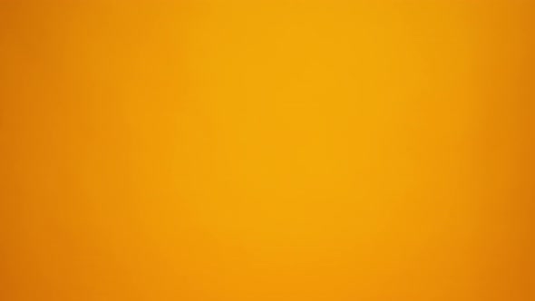 People's Hand Passing One Another a Tray with Coffee to Go Studio Background alt