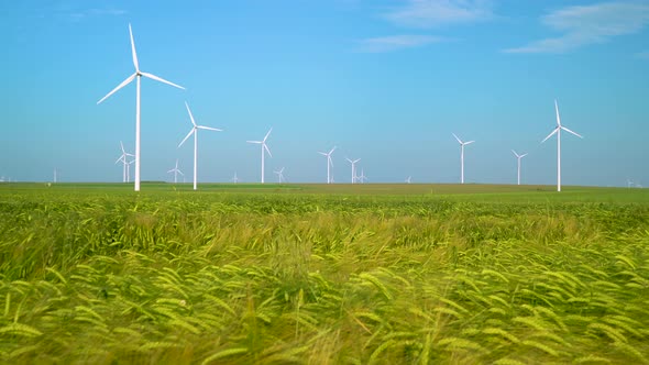 Green wheat field in motion with wind turbines in the background. Eolian farm renewable energy alt