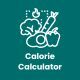Calorie  calculator - Web Calculator for your Website