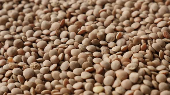 Pile of tiny Lens esculenta on the table  slow tilt 4K 2160p 30fps UltraHD footage - Edible pulse of alt