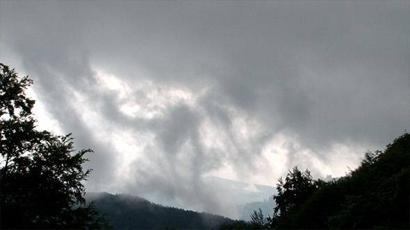 Misty Dark Forest alt