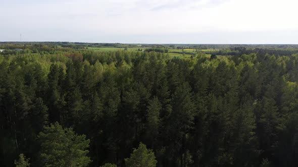 Aerial flight over green countryside forest in summer