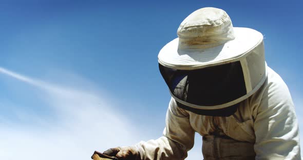 Beekeeper harvesting honey alt