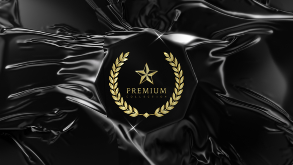 Elegant Reveal Logo Stings template preview