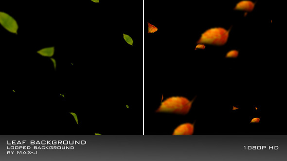 Falling Leaf HD Loop Backgrounds
