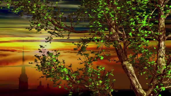 Tree Sunset Wind alt