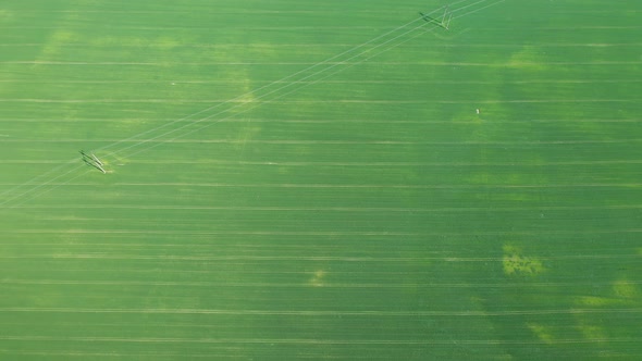 Top View of a Sown Green and Gray Field in Belarus