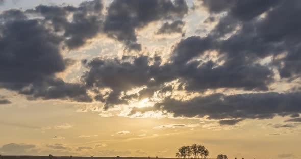 Flat Hill Meadow Timelapse at the Summer Sunset Time. Wild Nature and Rural Field. Sun Rays, Trees alt
