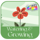 Watering And Growing Plants Explainer for FCPX