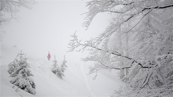 Winter Landscape With Fog