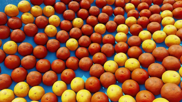 Fruit Fresh Orenge In Retro 04 HD alt