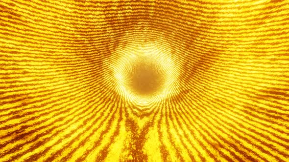 Gold Background | Golden loop background alt