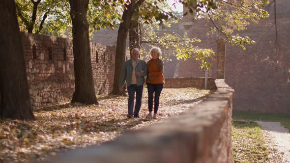 Handsome senior couple walking in autumn park