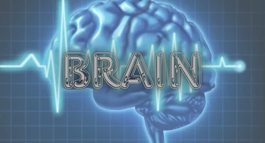 Brain