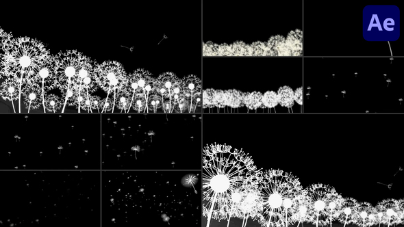 Dandelion Breeze | After Effects Elements template preview