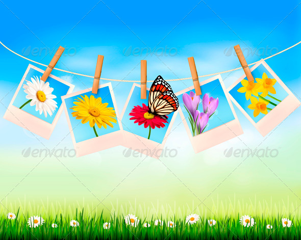 Nature Background with Photo with Flowers - Flowers & Plants Nature