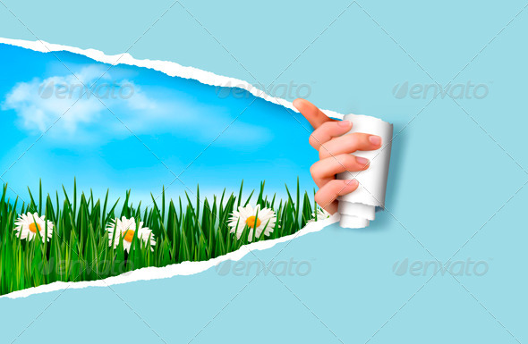 Nature Background with Green Grass and Sky - Seasons Nature