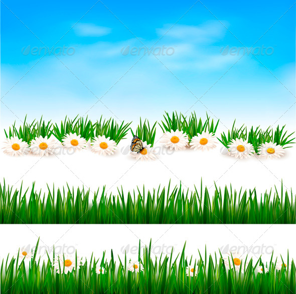 Collection of Green Grass Backgrounds - Flowers & Plants Nature