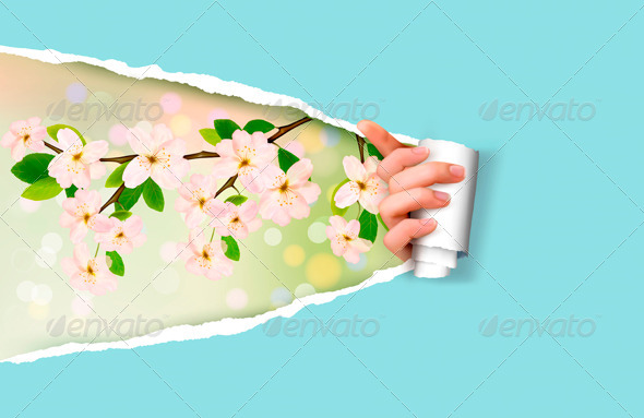 Nature Background with Spring Flowers - Seasons Nature