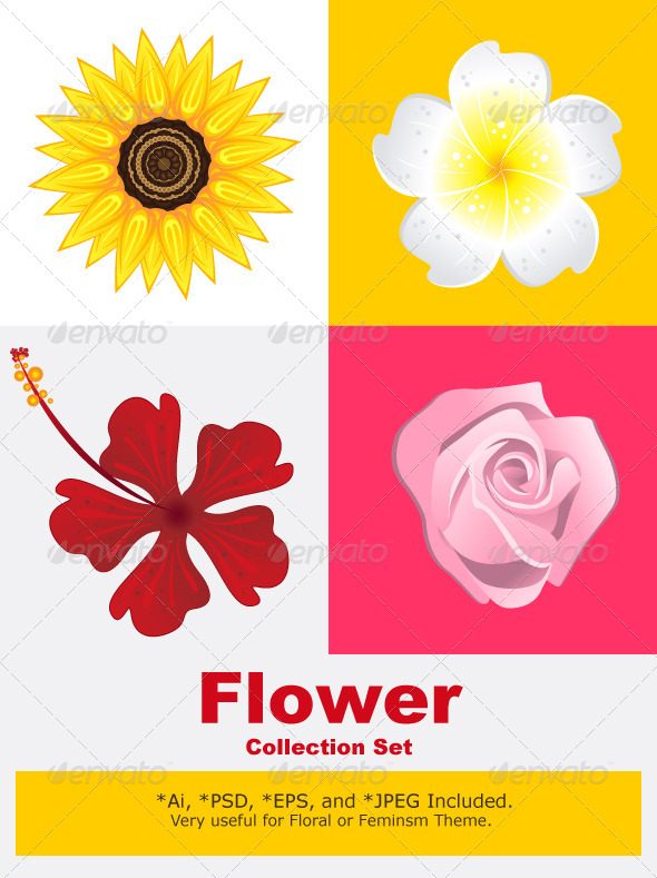 Blossom Flower - Flowers & Plants Nature