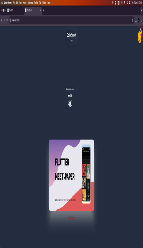 Flutter ColorScout | Analyze an image and provides the Color Pallete by ...