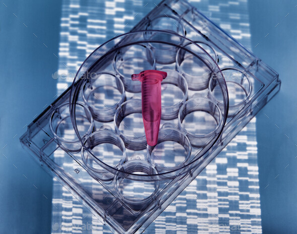 DNA sample inside vial on multi well plate, DNA gel showing results ...