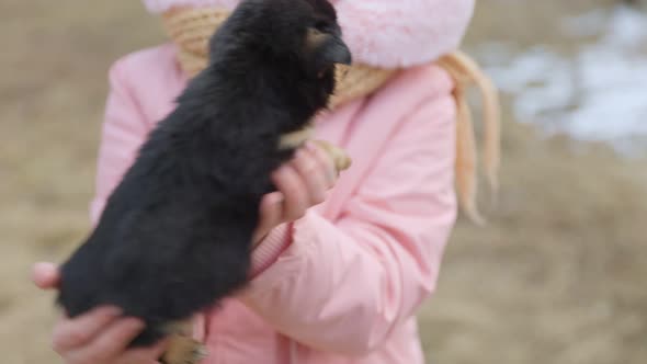 Little Puppy in the Arms of a Girl