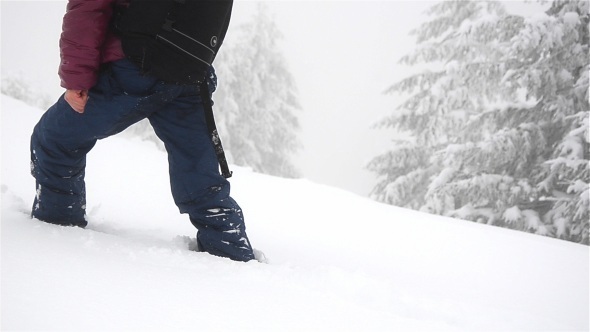 Steps In The Fresh Snow