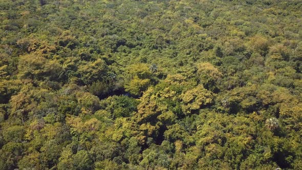 4k 24fps Natural Pool In The Middle Of The Forrest In The Nature Close To The Beach alt