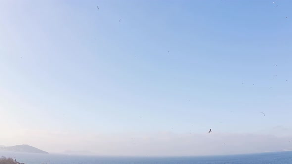 Istanbul Prince Islands  alt