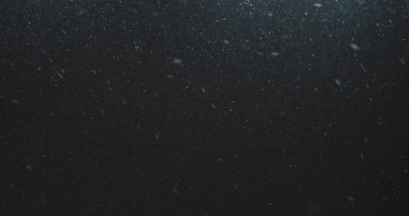 Intense Blizzard Snow Storm Natural Gale Force Winter Storm Snowfall at Night alt