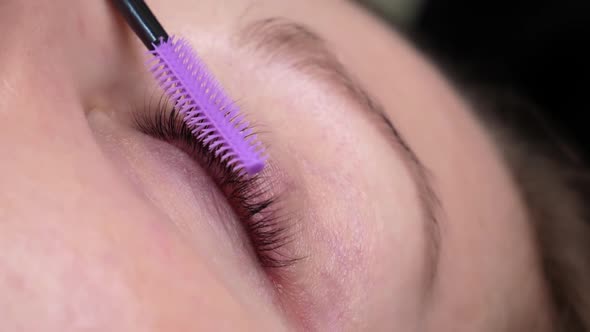 Process of Extension Eyelashes