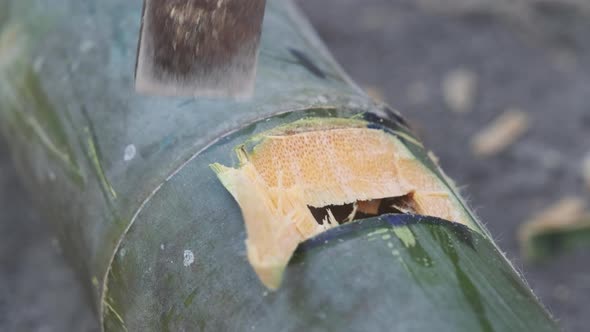Local man drilling a hole in green bamboo with chisel for making traditional handicrafts. alt
