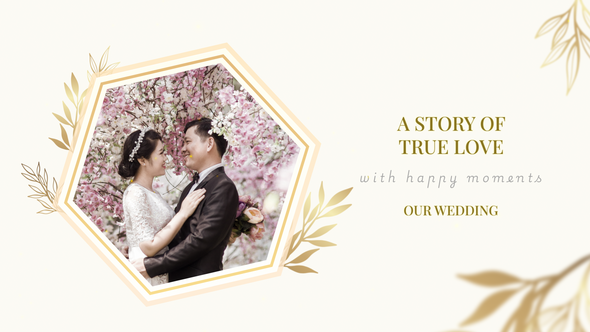 Our Wedding Video Displays template preview