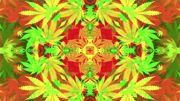 Cannabis Patterns alt